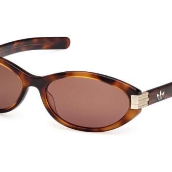 Adidas Originals OR0129 52E ONE SIZE (59) Havana Unisex Napszemüvegek kép