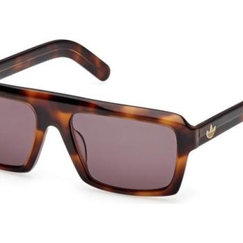 Adidas Originals OR0133 52E ONE SIZE (55) Havana Unisex Napszemüvegek kép