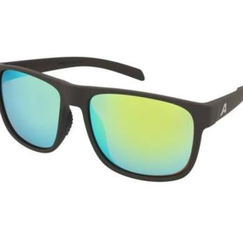 Alpina Nacan III Coffee Grey Matt kép