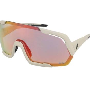 Alpina Rocket QV Cool-Grey Matt kép