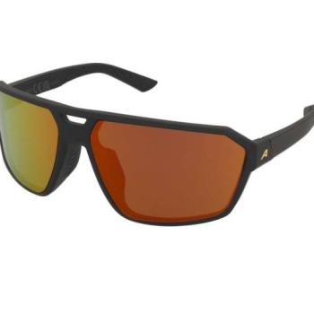 Alpina Swift Black Gold Matt/Gold Mirror kép