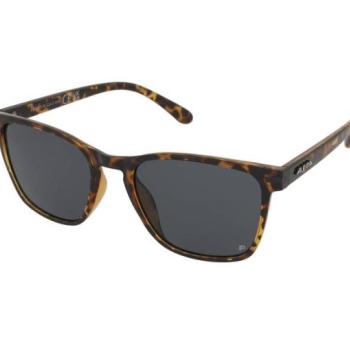 Alpina Yefe P Havana Gloss/Black kép