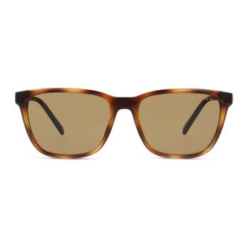 Arnette AN4291 277083 kép