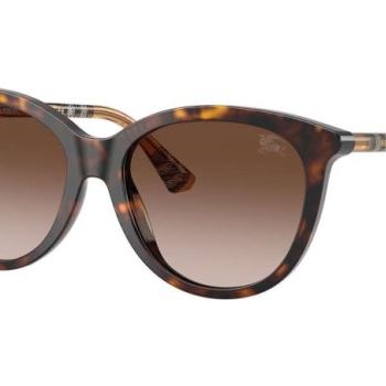 Burberry BE4455 421613 ONE SIZE (55) Havana Férfi Napszemüvegek kép