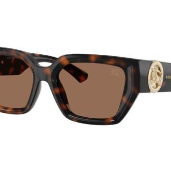 Burberry BE4472U 300273 ONE SIZE (53) Havana Férfi Napszemüvegek kép