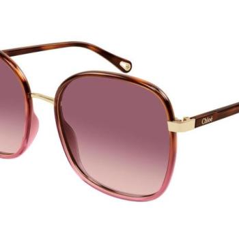 Chloe CH0031S 018 L (59) Havana Férfi Napszemüvegek kép