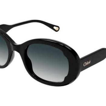 Chloe CH0197S 001 ONE SIZE (53) Fekete Férfi Napszemüvegek kép