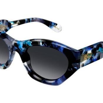 Chloe CH0220S 009 ONE SIZE (53) Kék Férfi Napszemüvegek kép