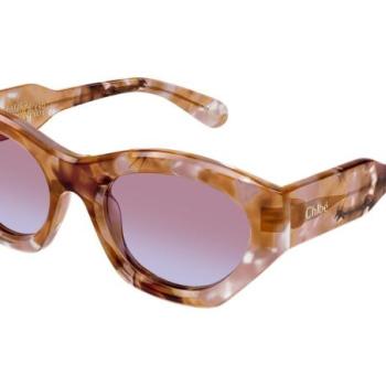 Chloe CH0220S 013 ONE SIZE (53) Havana Férfi Napszemüvegek kép