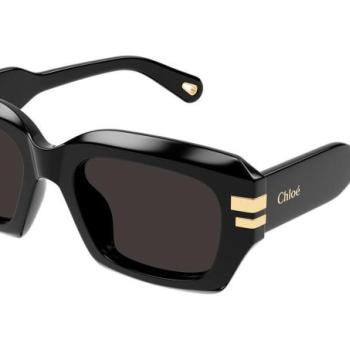 Chloe CH0256S 001 ONE SIZE (53) Fekete Férfi Napszemüvegek kép