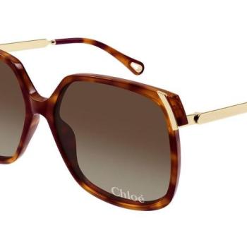 Chloe CH0286S 002 ONE SIZE (60) Havana Férfi Napszemüvegek kép