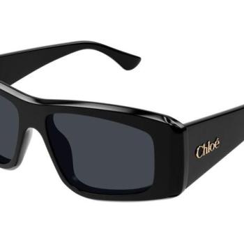 Chloe CH0299S 001 ONE SIZE (55) Fekete Férfi Napszemüvegek kép