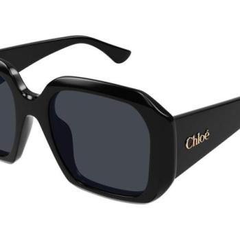 Chloe CH0300S 001 ONE SIZE (54) Fekete Férfi Napszemüvegek kép