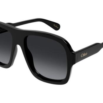 Chloe CH0331S 001 ONE SIZE (58) Fekete Férfi Napszemüvegek kép