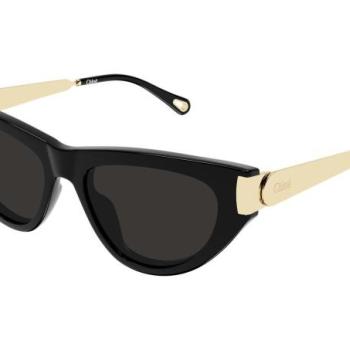 Chloe CH0350S 001 ONE SIZE (54) Fekete Férfi Napszemüvegek kép