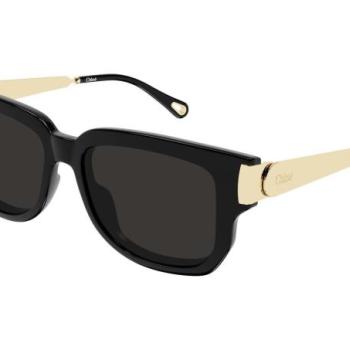 Chloe CH0351S 001 ONE SIZE (54) Fekete Férfi Napszemüvegek kép