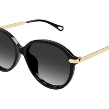 Chloe CH0358SK 001 ONE SIZE (59) Fekete Férfi Napszemüvegek kép