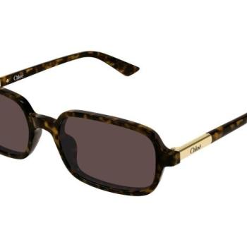 Chloe CH0363S 002 ONE SIZE (53) Havana Férfi Napszemüvegek kép