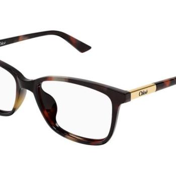 Chloe CH0371OA 002 ONE SIZE (55) Havana Férfi Dioptriás szemüvegek kép
