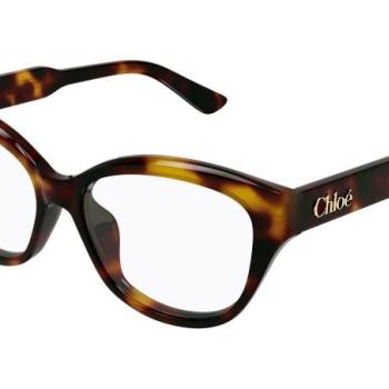 Chloe CH0381OL 007 ONE SIZE (54) Havana Férfi Dioptriás szemüvegek kép