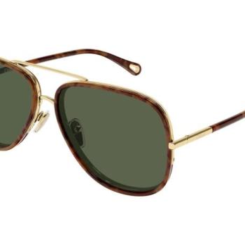 Chloe CH0382S 003 ONE SIZE (60) Havana Férfi Napszemüvegek kép