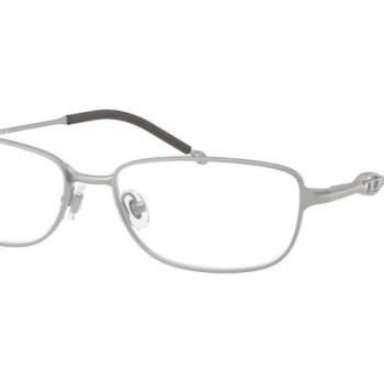 Diesel DL5002 1007 M (54) Ezüst Unisex Dioptriás szemüvegek kép