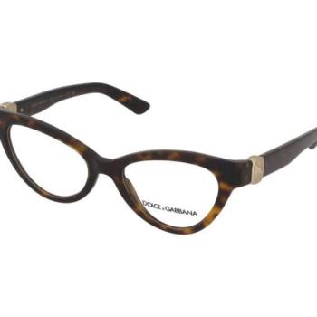 Dolce & Gabbana DG3394 502 kép