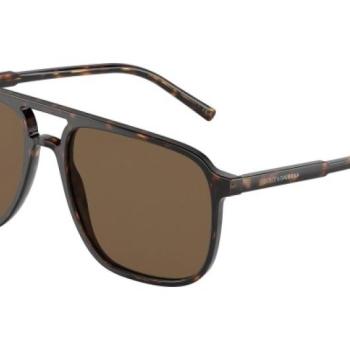 Dolce & Gabbana DG4423 502/73 ONE SIZE (58) Havana Női Napszemüvegek kép