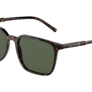 Dolce & Gabbana DG4424 502/9A Polarized ONE SIZE (56) Havana Női Napszemüvegek kép