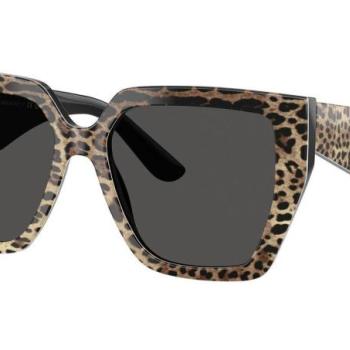 Dolce & Gabbana DG4438 316387 ONE SIZE (55) Barna Férfi Napszemüvegek kép