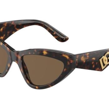 Dolce & Gabbana DG4439 502/73 ONE SIZE (55) Havana Férfi Napszemüvegek kép