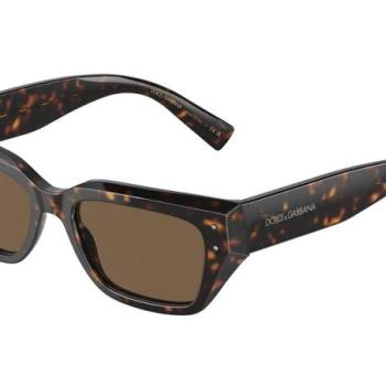 Dolce & Gabbana DG4462 502/73 ONE SIZE (52) Havana Férfi Napszemüvegek kép