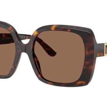 Dolce & Gabbana DG4475 502/73 ONE SIZE (56) Havana Férfi Napszemüvegek kép