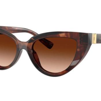 Dolce & Gabbana DG4497 322274 ONE SIZE (52) Havana Férfi Napszemüvegek kép