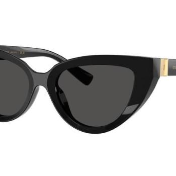 Dolce & Gabbana DG4497 501/87 ONE SIZE (52) Fekete Férfi Napszemüvegek kép