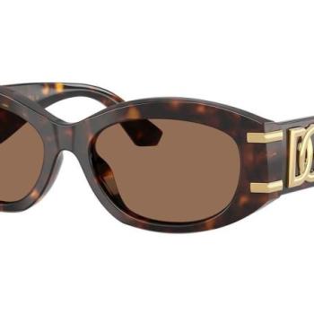 Dolce & Gabbana DG4502 502/73 ONE SIZE (55) Havana Férfi Napszemüvegek kép