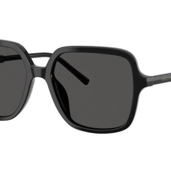 Dolce & Gabbana DG4539 501/87 ONE SIZE (55) Fekete Férfi Napszemüvegek kép