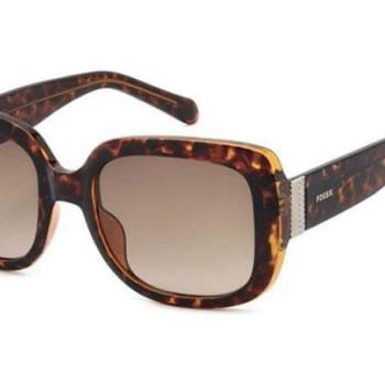 Fossil FOS2157/G/S 086/HA ONE SIZE (54) Havana Férfi Napszemüvegek kép