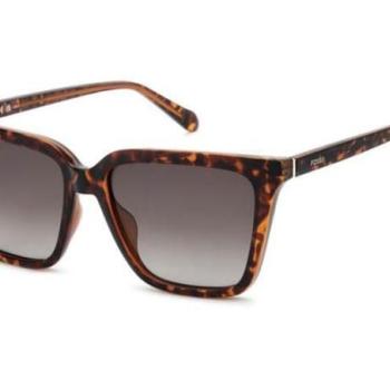 Fossil FOS3173/G/S 086/HA ONE SIZE (56) Havana Férfi Napszemüvegek kép