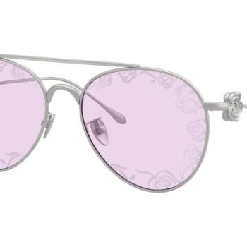 Giorgio Armani AR6167 3045Z9 ONE SIZE (57) Ezüst Férfi Napszemüvegek kép