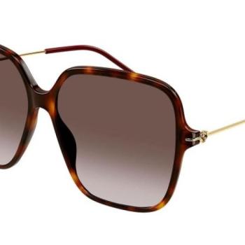 Gucci GG1267S 002 ONE SIZE (60) Havana Férfi Napszemüvegek kép