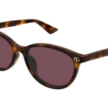 Gucci GG1818SK 002 ONE SIZE (56) Havana Férfi Napszemüvegek kép