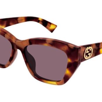 Gucci GG1844SA 003 ONE SIZE (55) Havana Férfi Napszemüvegek kép