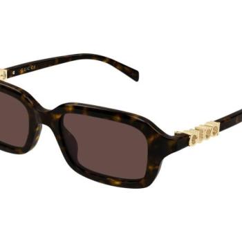 Gucci GG2152S 002 ONE SIZE (50) Havana Férfi Napszemüvegek kép