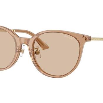Jimmy Choo JC5056JD 507693 ONE SIZE (54) Barna Férfi Napszemüvegek kép
