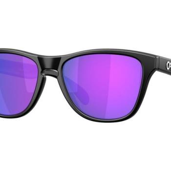 Oakley Frogskins S OO9508 950804 PRIZM Violet ONE SIZE (53) Fekete Unisex Napszemüvegek kép