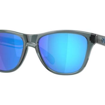 Oakley Frogskins S OO9508 950805 Polarized ONE SIZE (53) Szürke Unisex Napszemüvegek kép