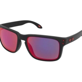Oakley Holbrook OO9102 910236 kép