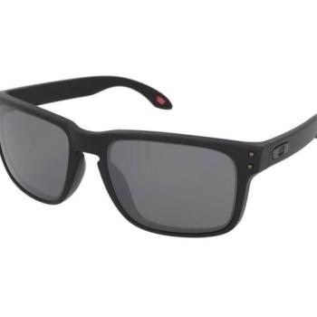 Oakley Holbrook OO9102 9102D6 kép