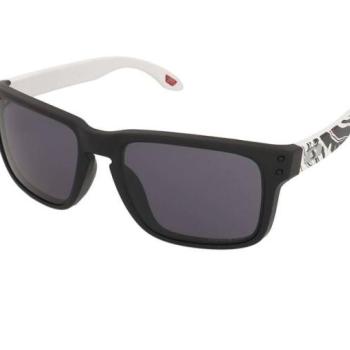 Oakley Holbrook OO9102 9102Z5 kép